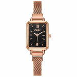 Luxury Ladies Quartz Watch (Magnetic Watch)